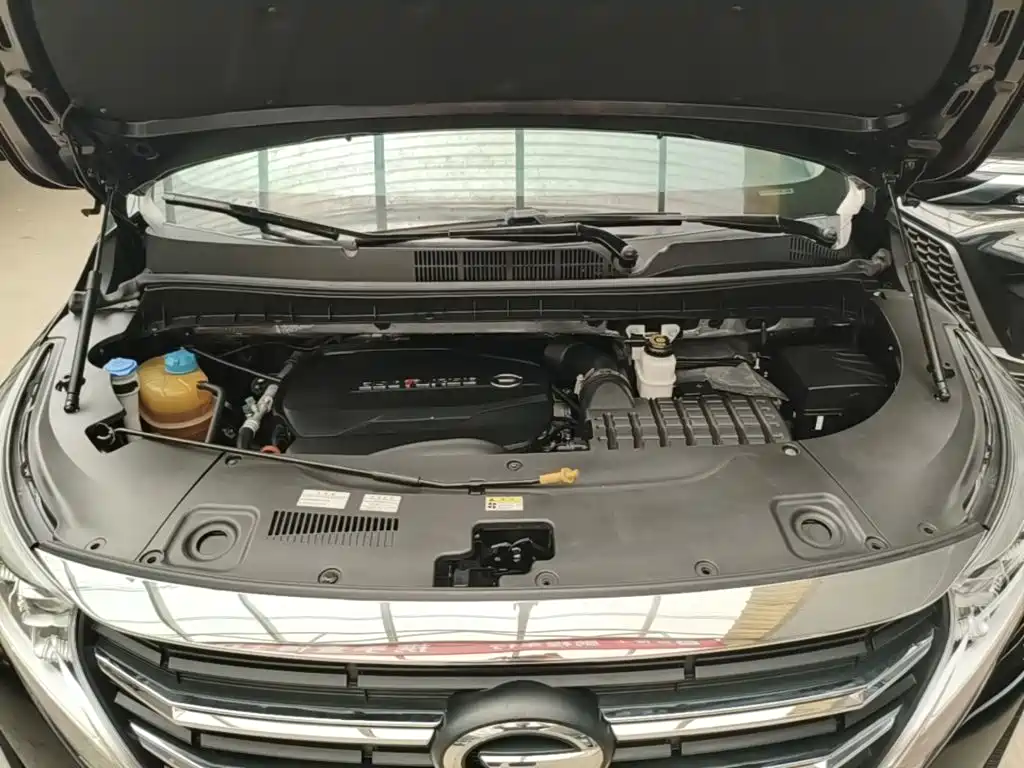 GAC Trumpchi M8 2021 — фото 20