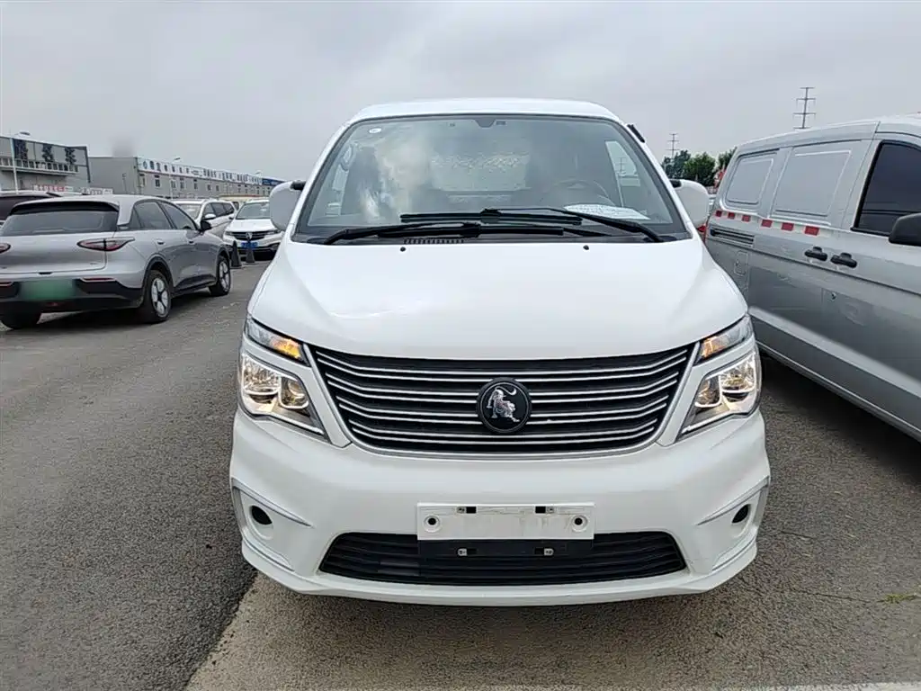 Dongfeng Lingzhi 2023