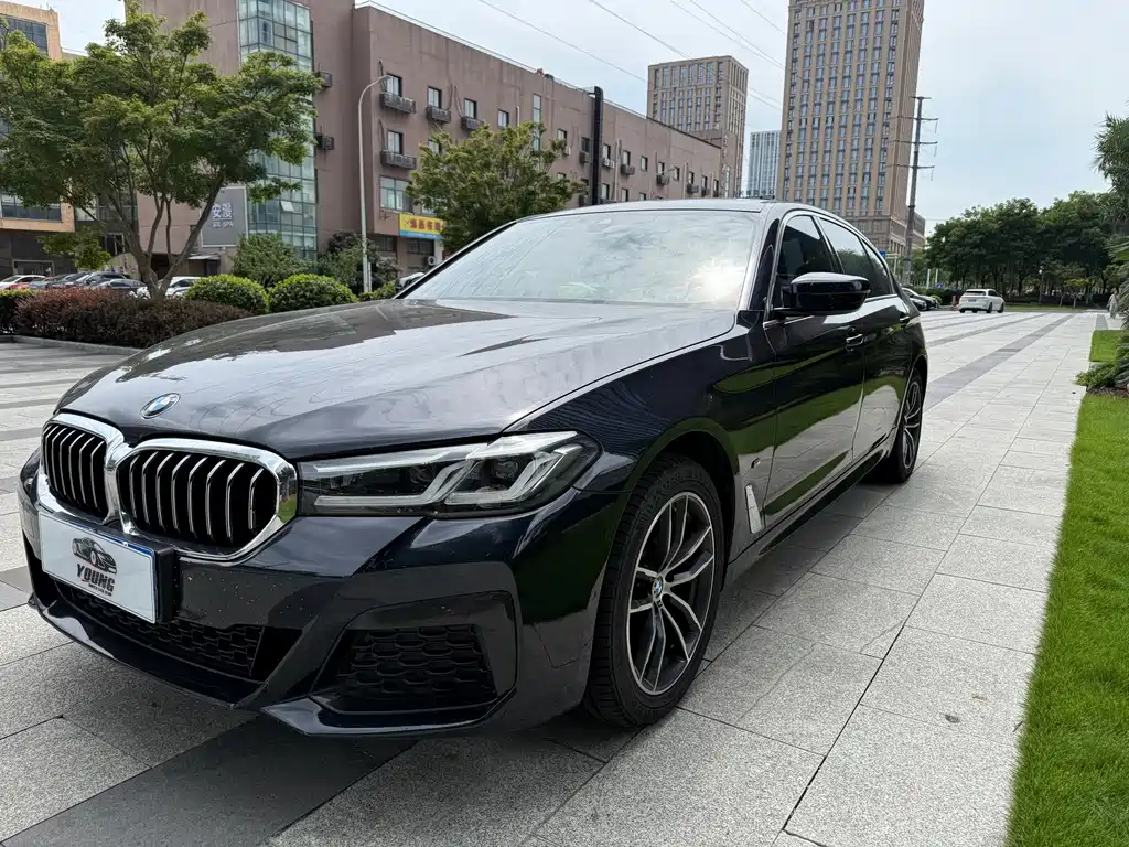 BMW 5 Series 2022