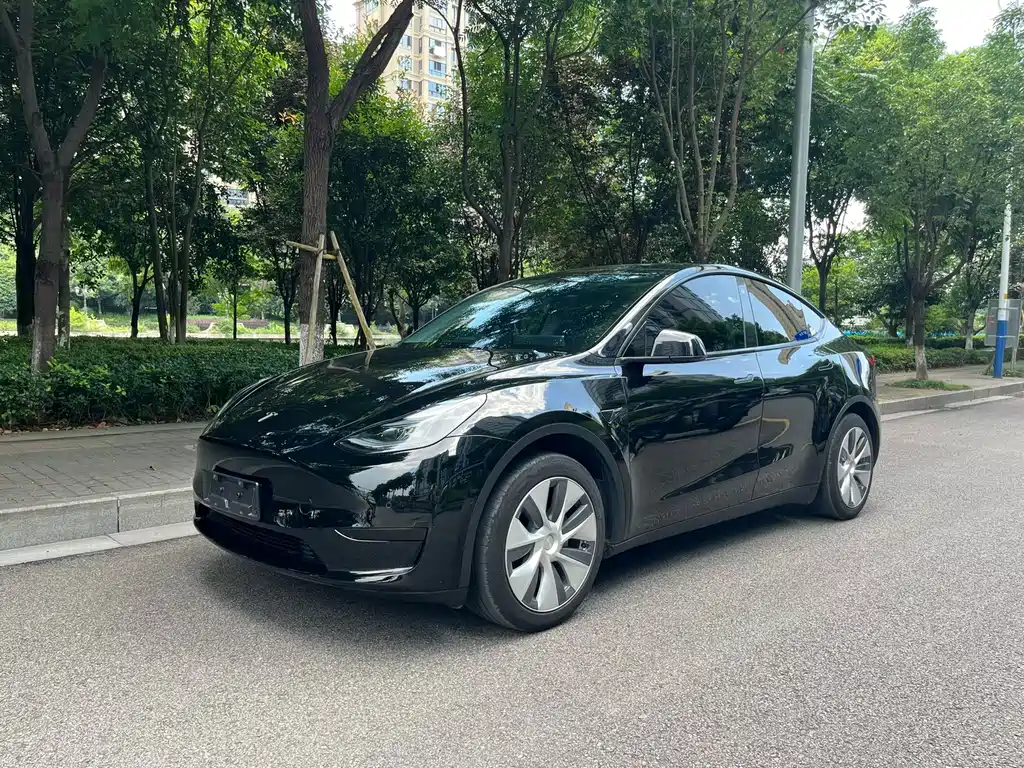 Tesla Model Y 2023 — фото 1