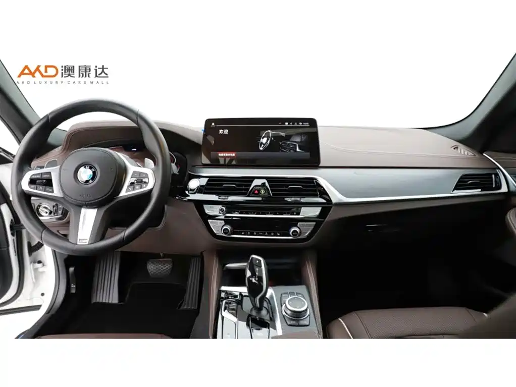 BMW 5 Series 2022