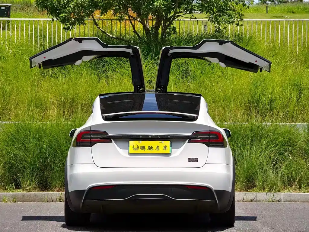 Tesla Model X 2023 — фото 2