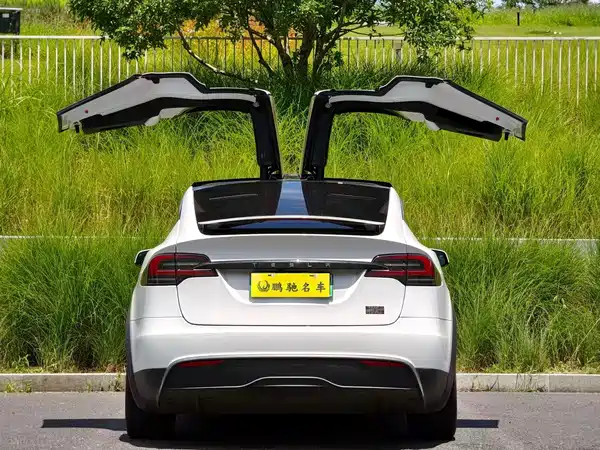 Tesla Model X 2023