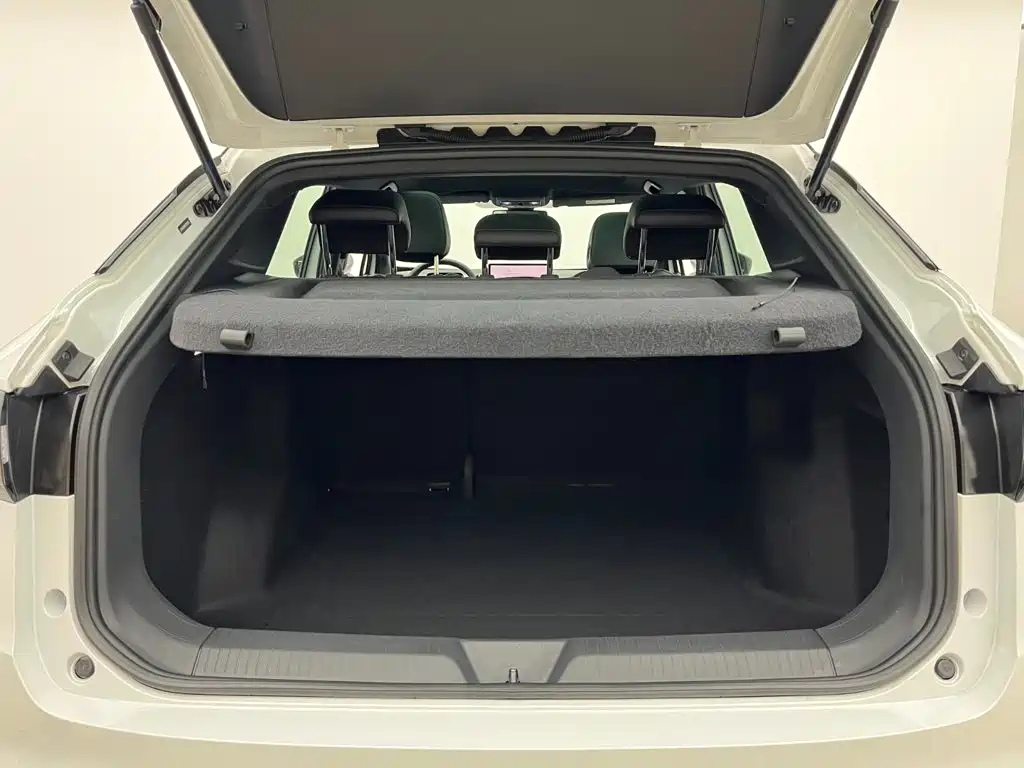 Volkswagen ID 4X 2024
