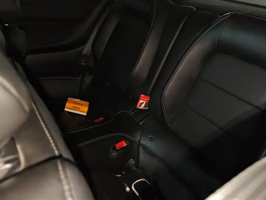 Ford Mustang 2019 — фото 11