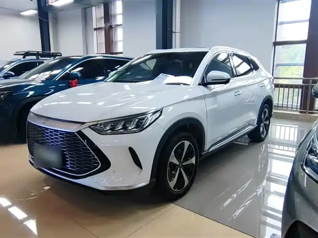 BYD PLUS New Energy 2021