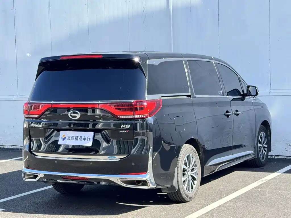 GAC Motor Trumpchi M8 2023 — фото 18