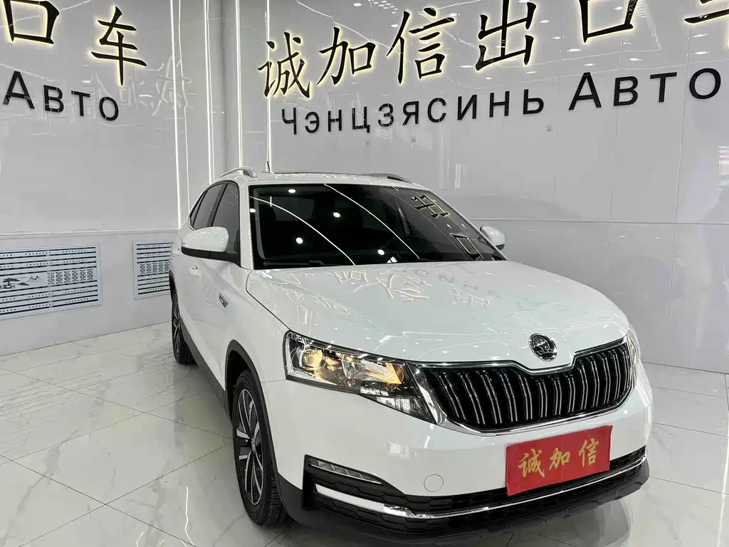 Skoda Kamiq 2024 — фото 3