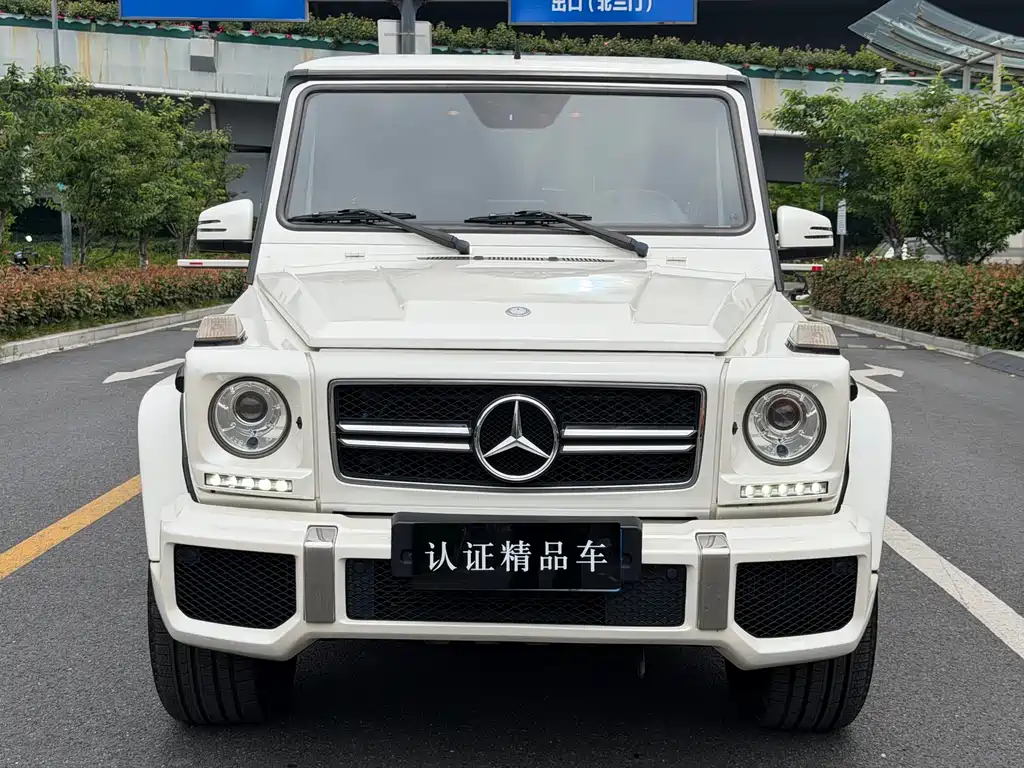 Mercedes-Benz G-Class AMG 2014 — фото 2