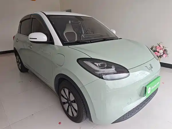 Wuling Bingo 2024