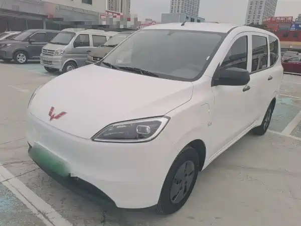 Wuling Hongguang New Energy 2024