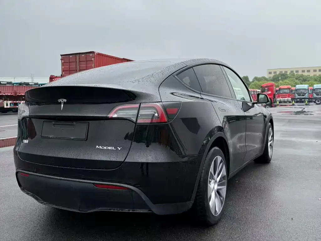 Tesla Model Y 2021 — фото 2
