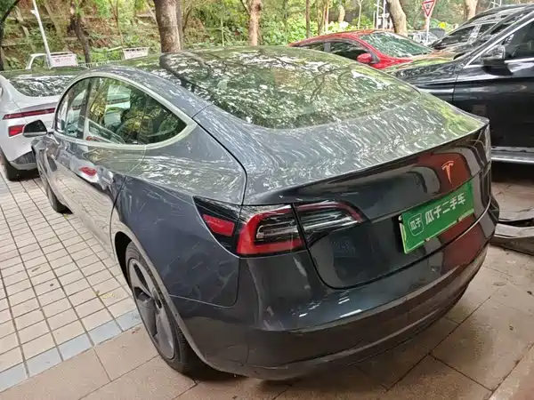 Tesla Model 3 2019