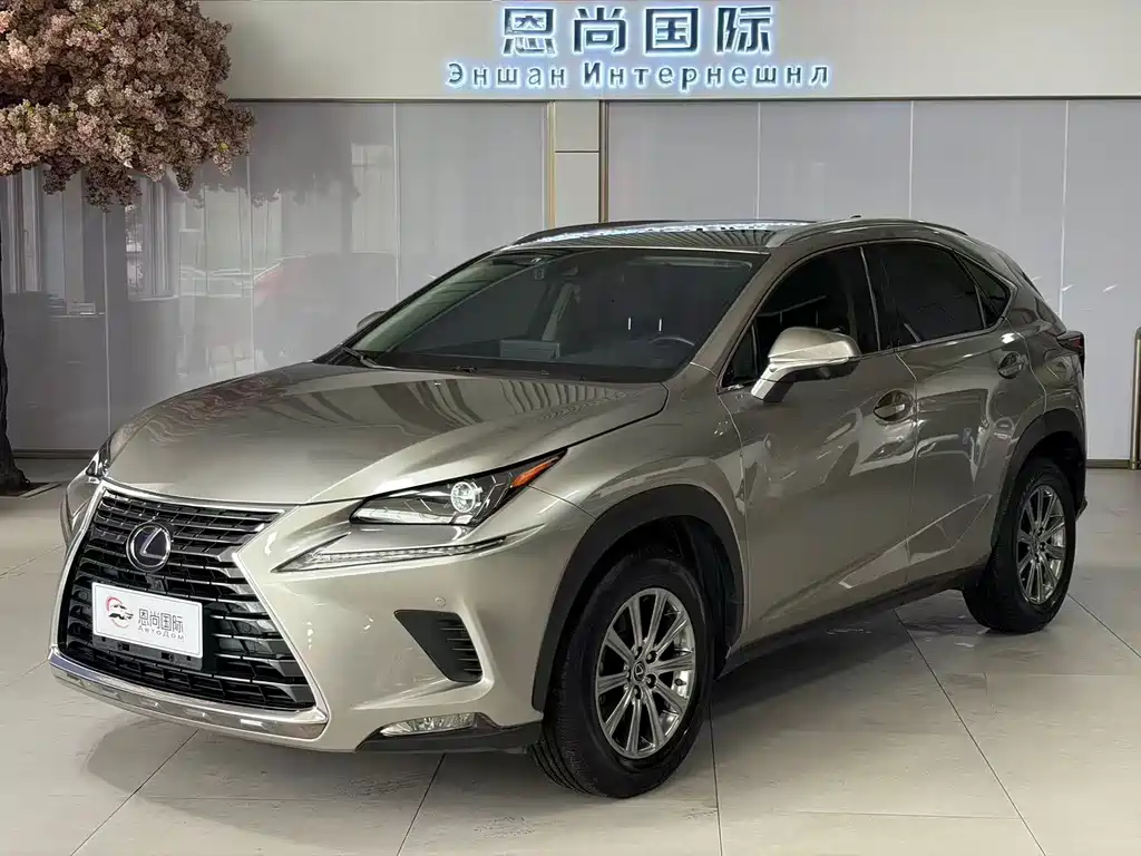 Lexus NX 2019 — фото 1