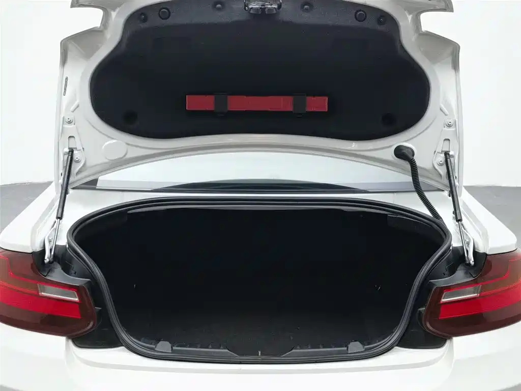 BMW 2 Series 2016 — фото 16