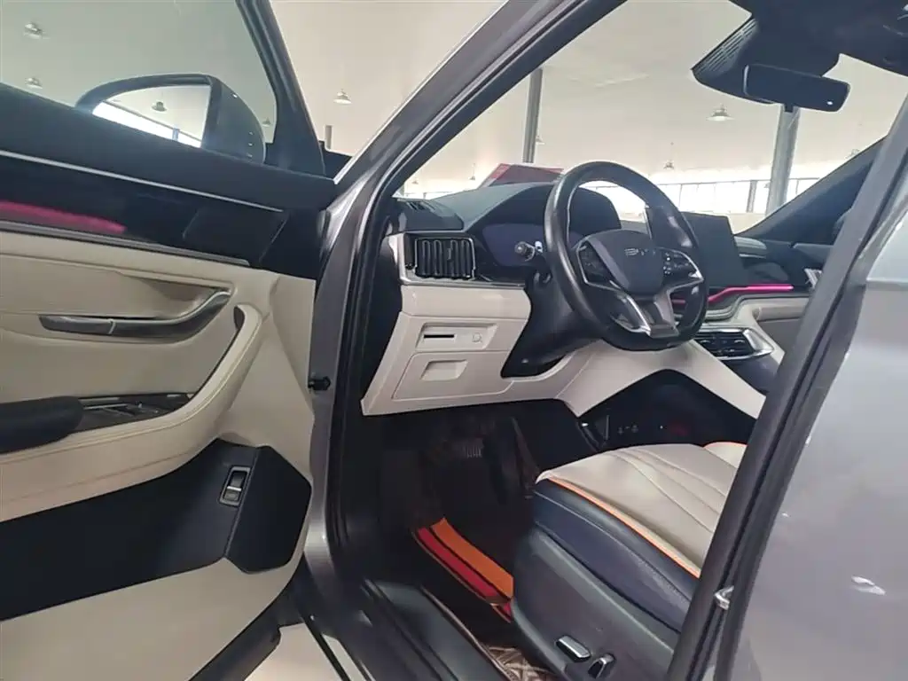 BYD PLUS New Energy 2024 — фото 16