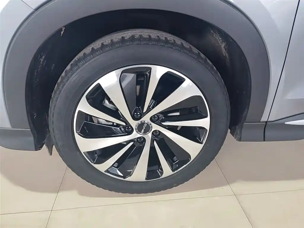 BYD PLUS New Energy 2024 — фото 22