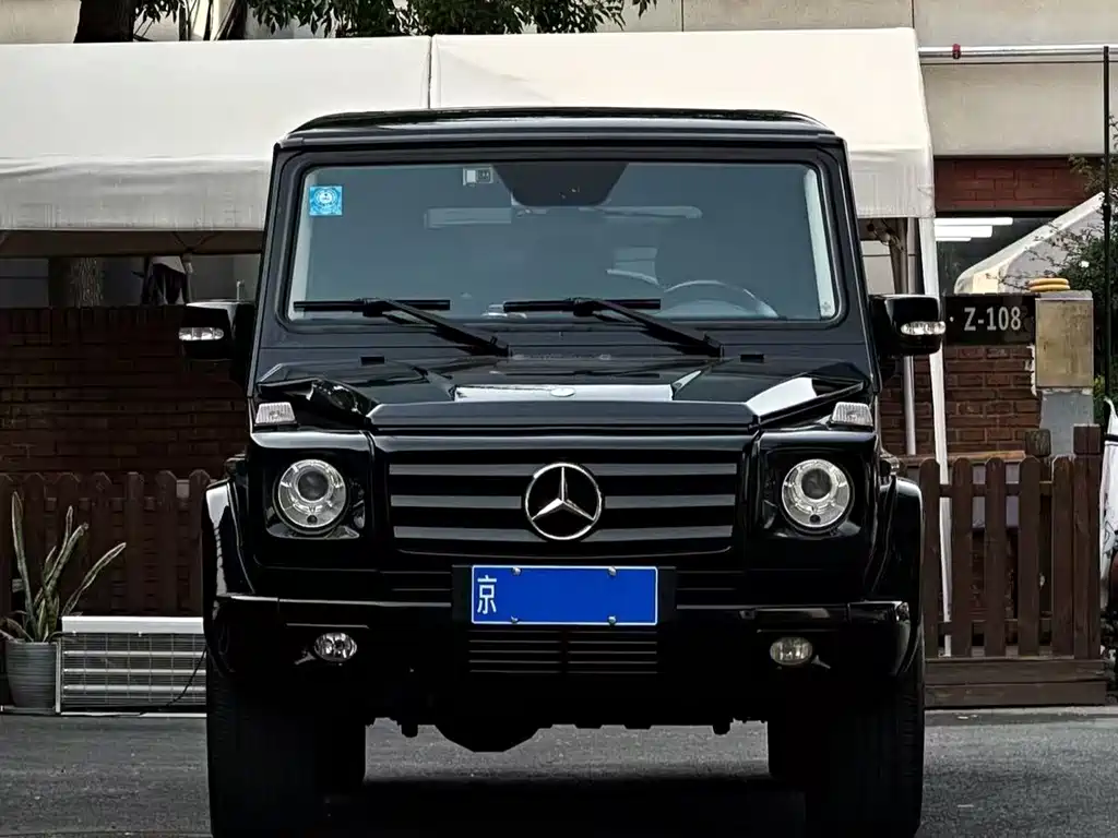 Mercedes-Benz G-Class 2010 — фото 2