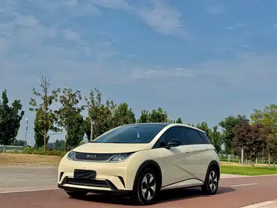 BYD Dolphin 2024