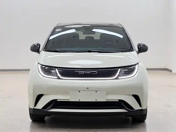 BYD Dolphin 2022