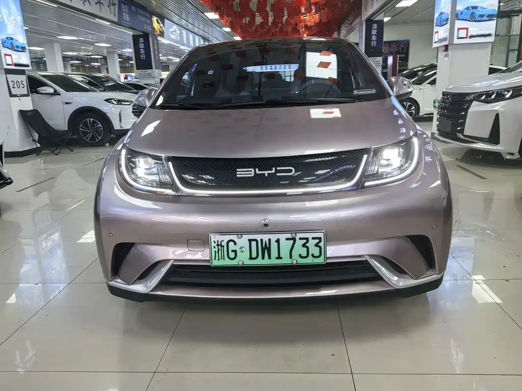 BYD Dolphin 2024