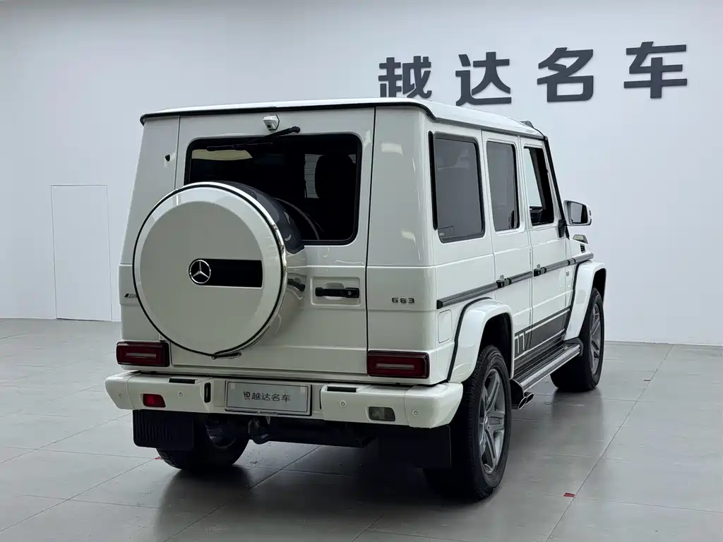 Mercedes-Benz G-Class 2017 — фото 19