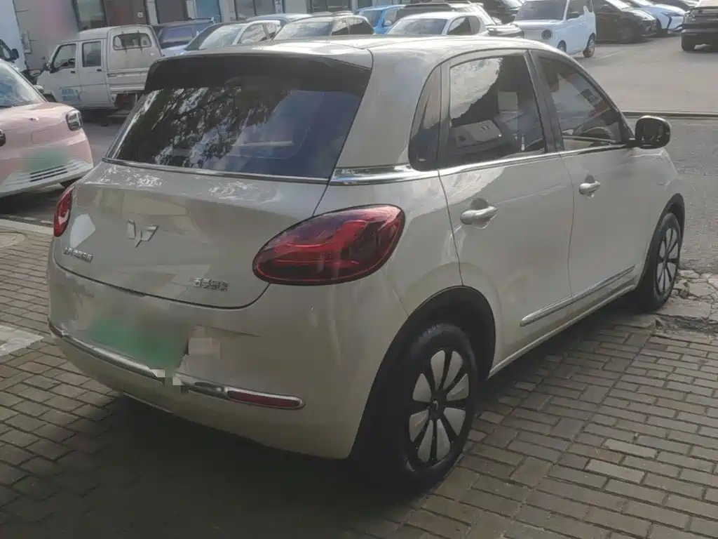 Wuling Bingo 2024