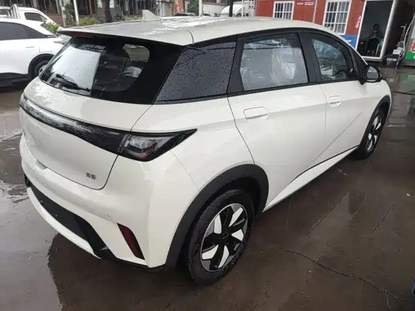 BYD Dolphin 2026