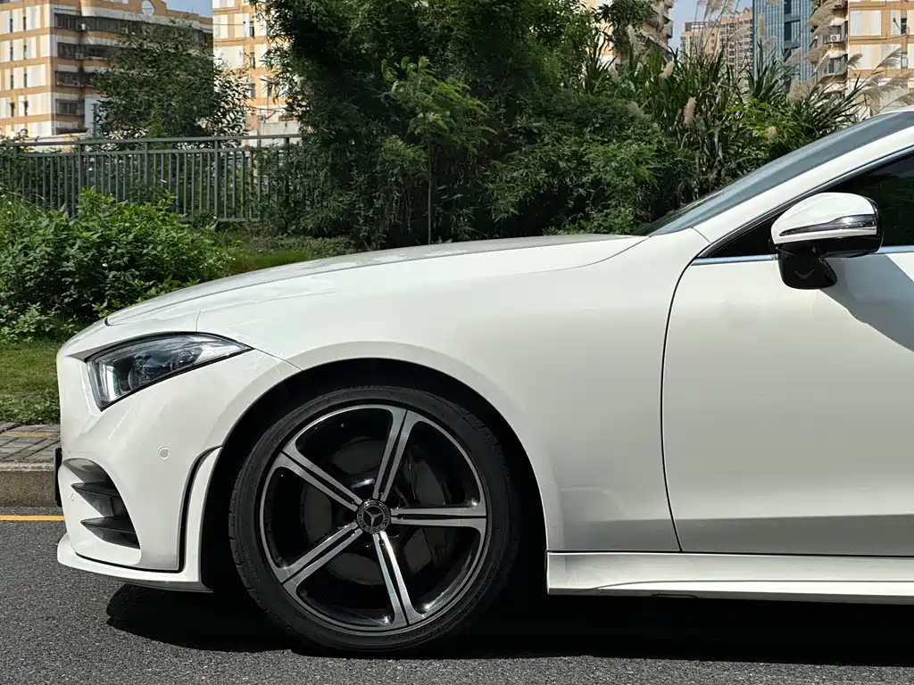 Mercedes-Benz CLS 2018 — фото 19