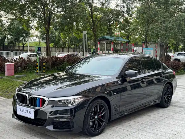 BMW 5 Series 2019