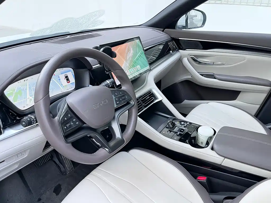 BYD PLUS New Energy 2025 — фото 16