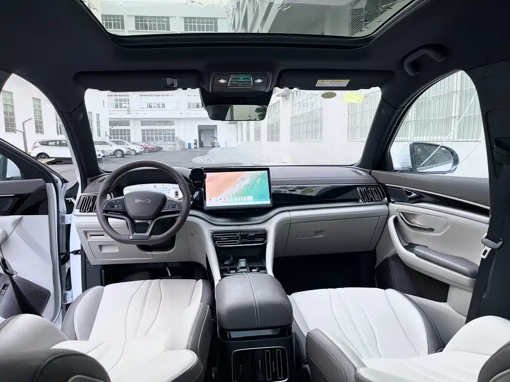 BYD PLUS New Energy 2025 — фото 12