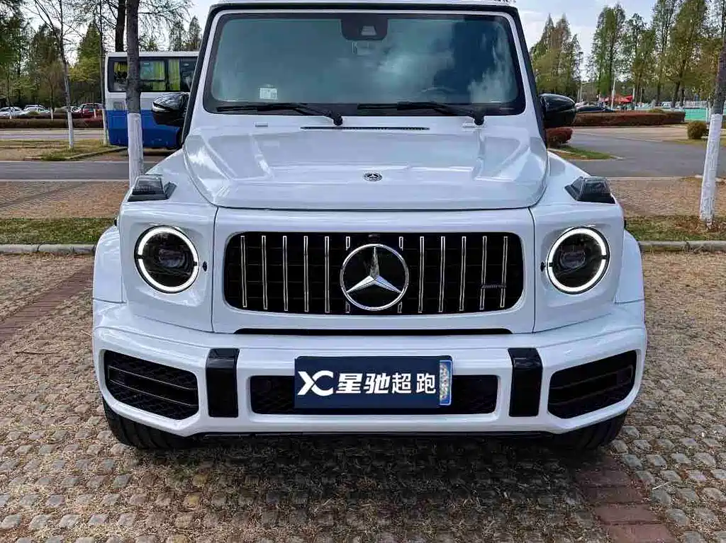 Mercedes-Benz G-Class 2019 — фото 1