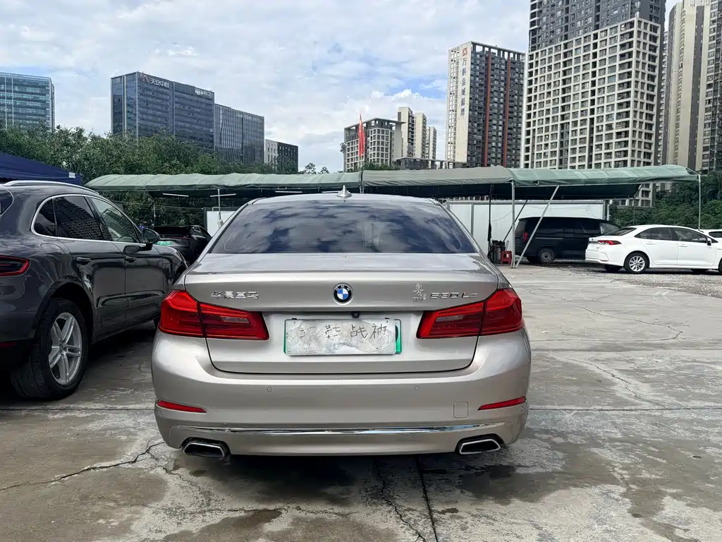 BMW 5 Series New Energy 2019 — фото 10