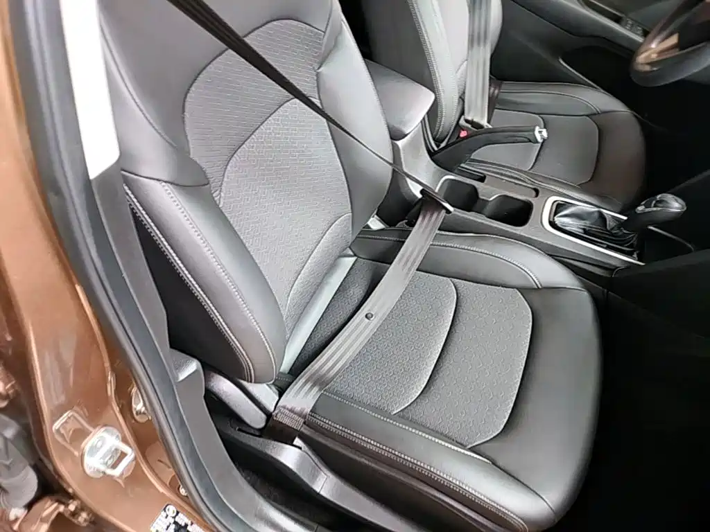 Chevrolet Cavalier 2016 — фото 25
