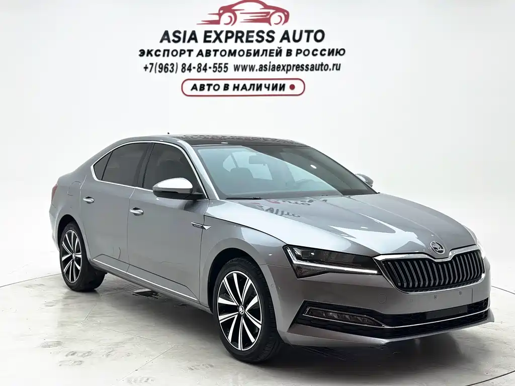 Skoda Speedy 2024