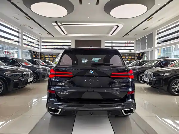 BMW X5 2024