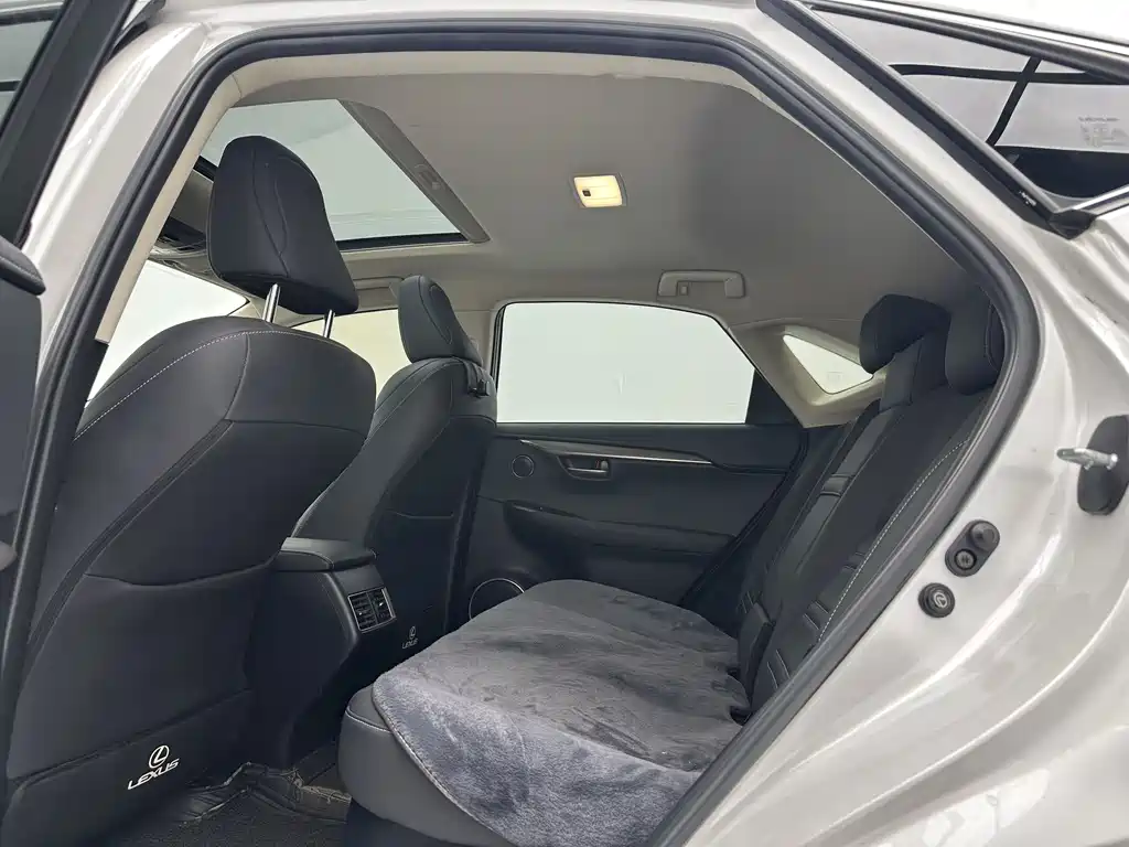 Lexus NX 2021