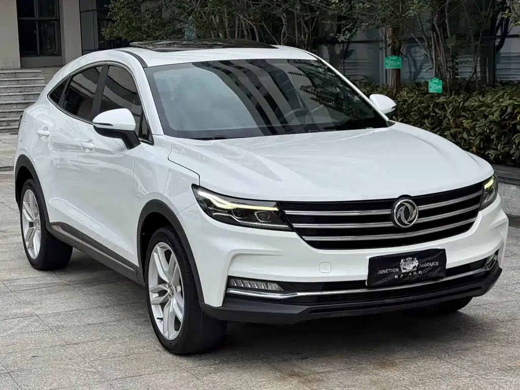 Fengguang ix5 2019