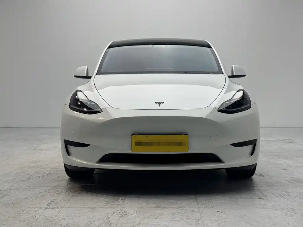 Tesla Model Y 2023 — фото 2