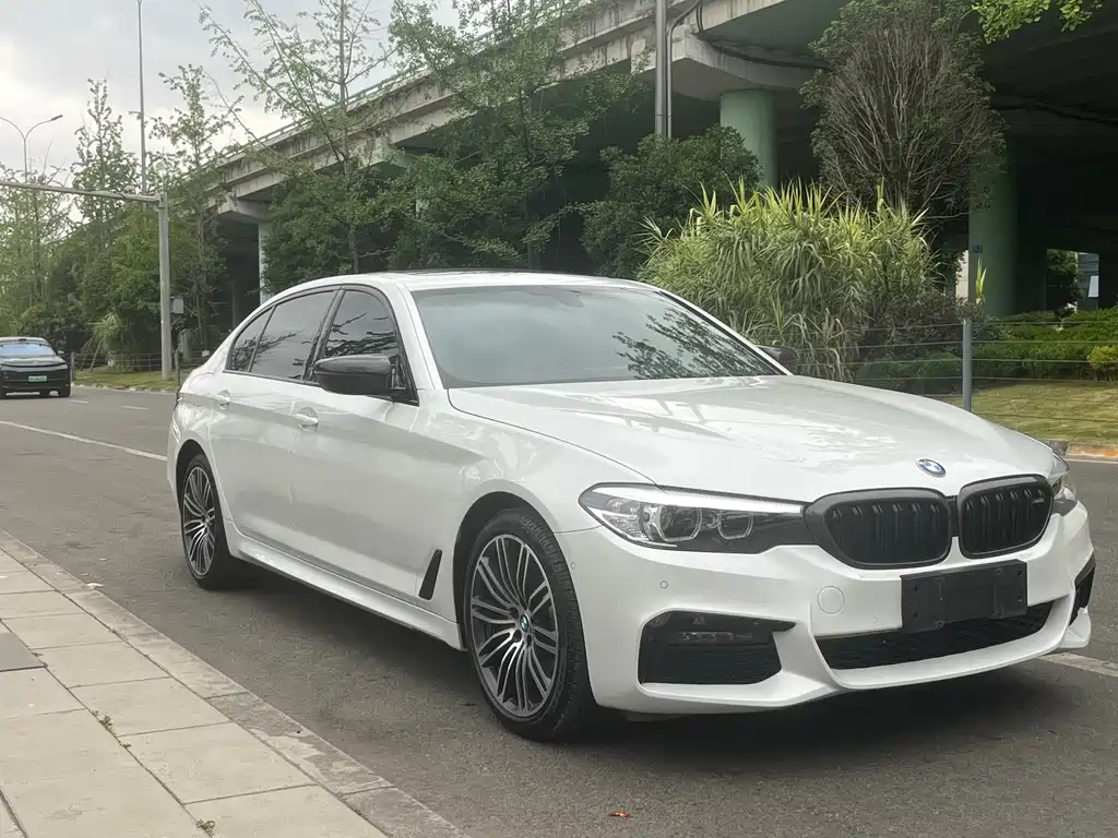 BMW 5 Series 2019 — фото 3