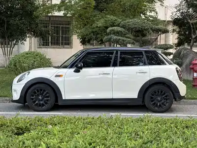 MINI MINI 2015