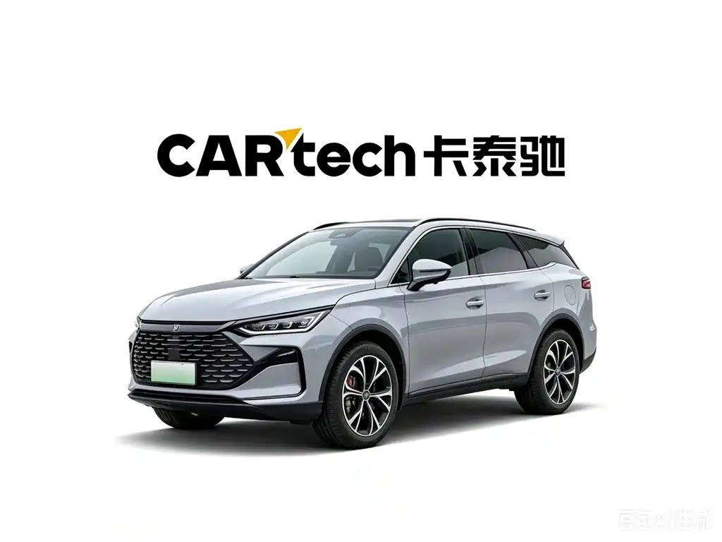 BYD Tang New Energy 2024 — фото 2