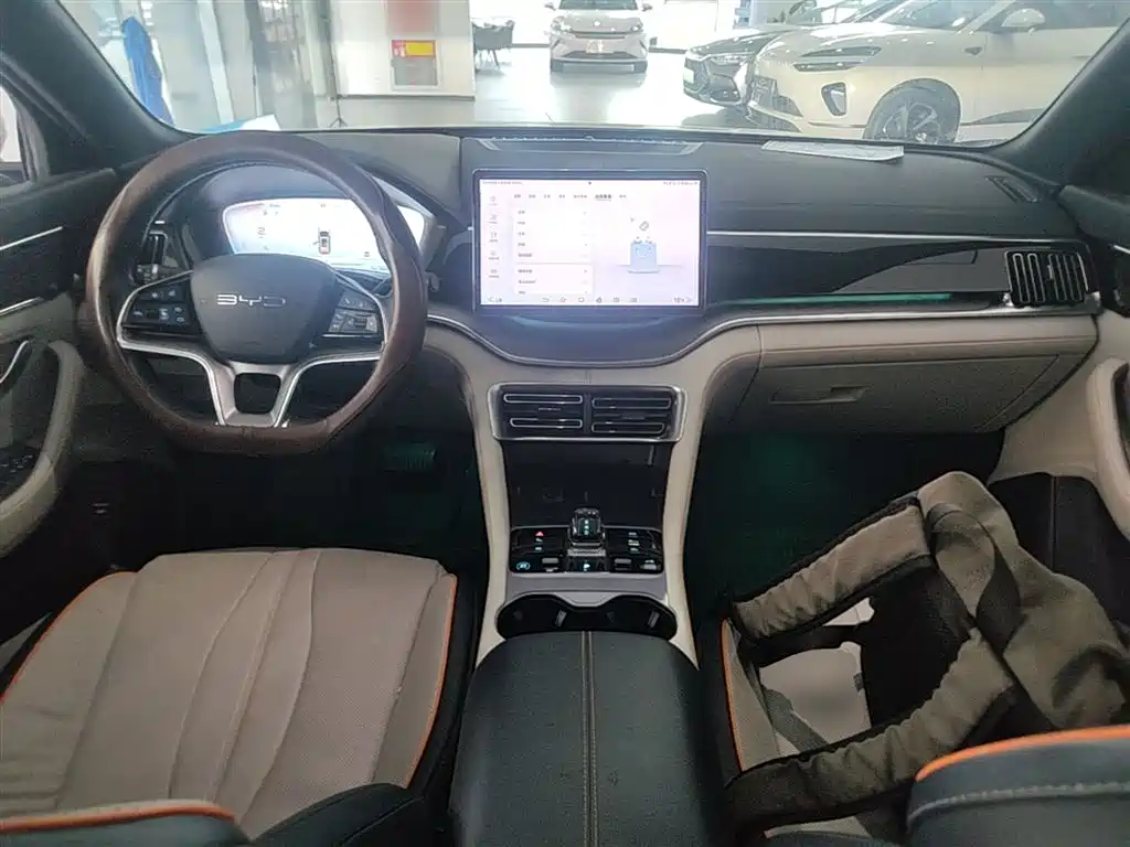 BYD PLUS New Energy 2024 — фото 10