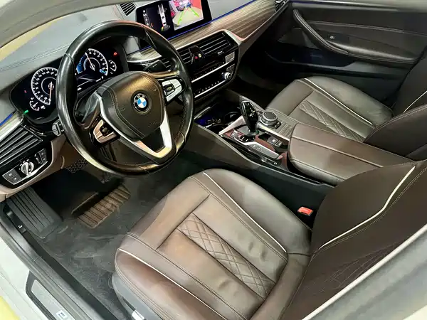BMW 5 Series New Energy 2019