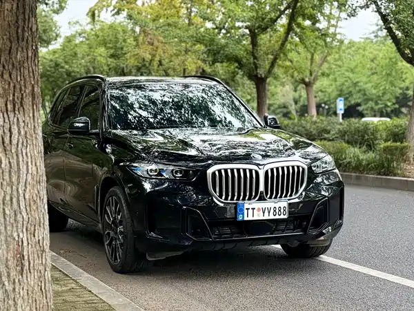 BMW X5 2024