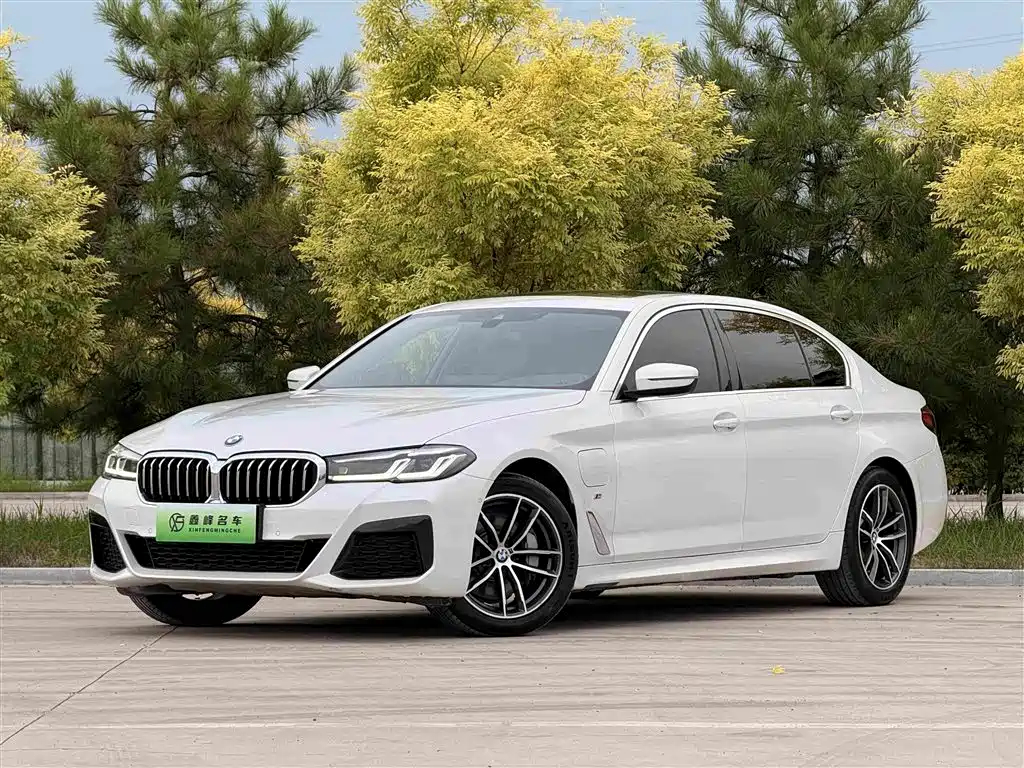 BMW 5 Series New Energy 2021