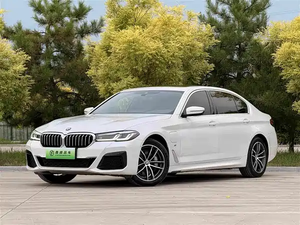 BMW 5 Series New Energy 2021