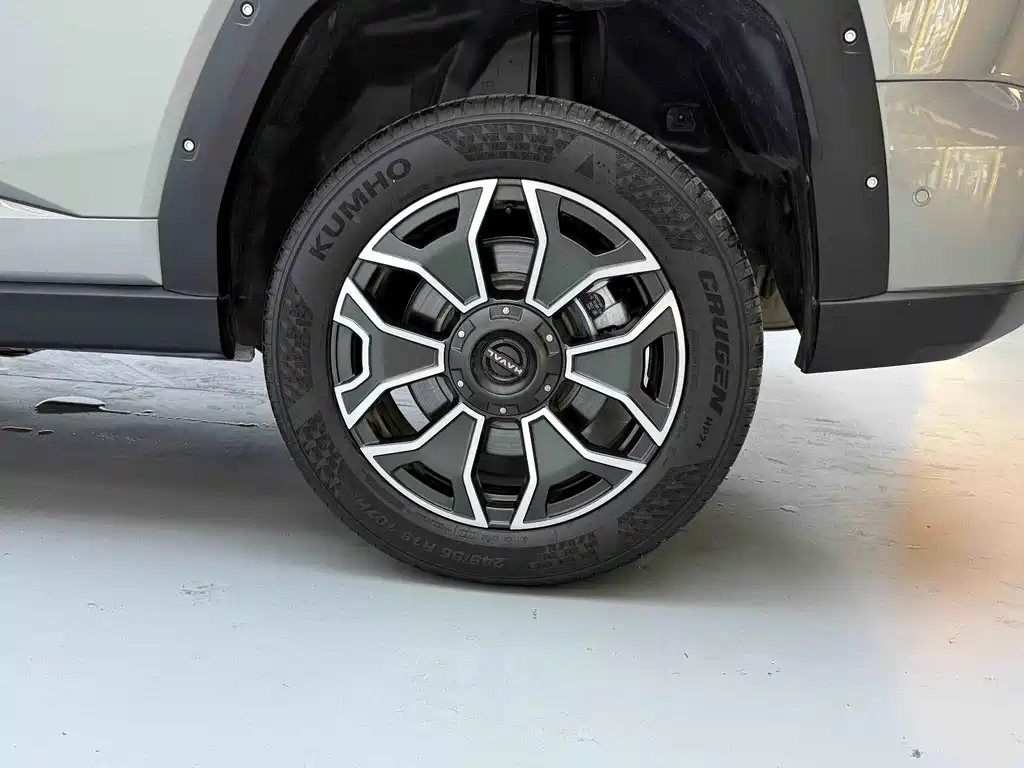 Haval Big Dog PLUS New Energy 2024 — фото 13