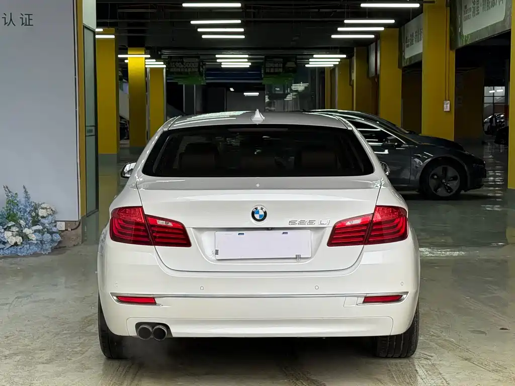 BMW 5 Series 2014